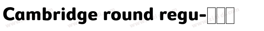 Cambridge round regu字体转换